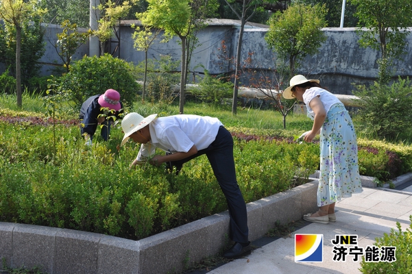 鹿洼煤矿组织机关科室人员进行义务劳动