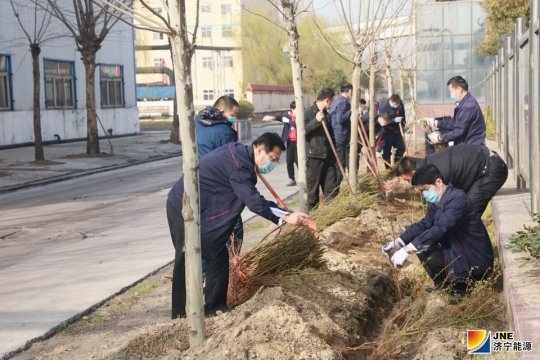 战疫情  添新绿  阳城煤电开展植树活动