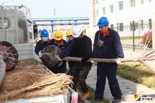 民生热能开展义务植树主题党日活动