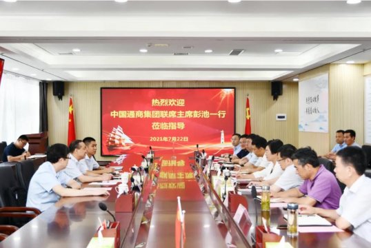 陈颖会见中国通商集团彭池一行