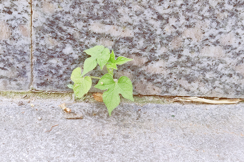 1628754558244112.jpg 4ead39e2f2e8e742818533dcf7ee58f.jpg