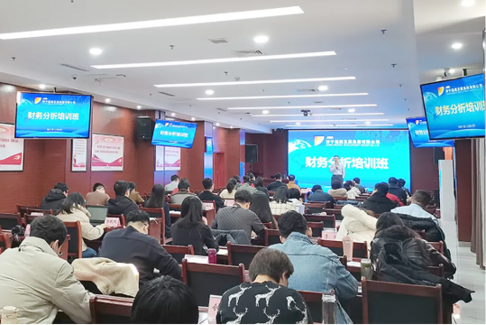 集团公司召开财务分析专题培训班