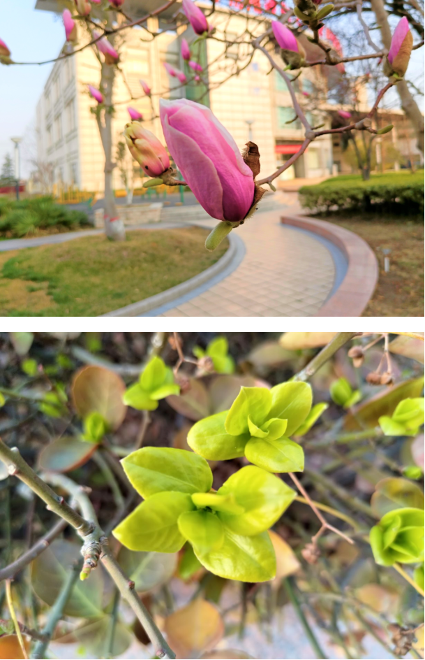 微信截图_20220314095645.png