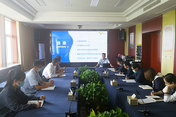 山东盛源：盛源公司召开标准化建设交流座谈会（宋远奎） (1).jpg