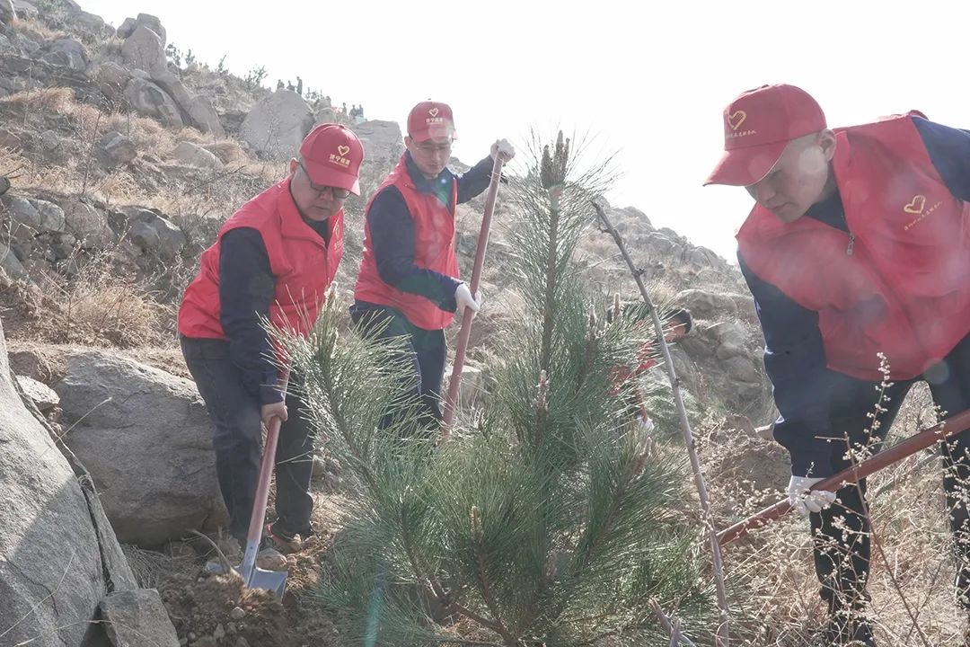 1710296369588115.jpg 64003.jpg