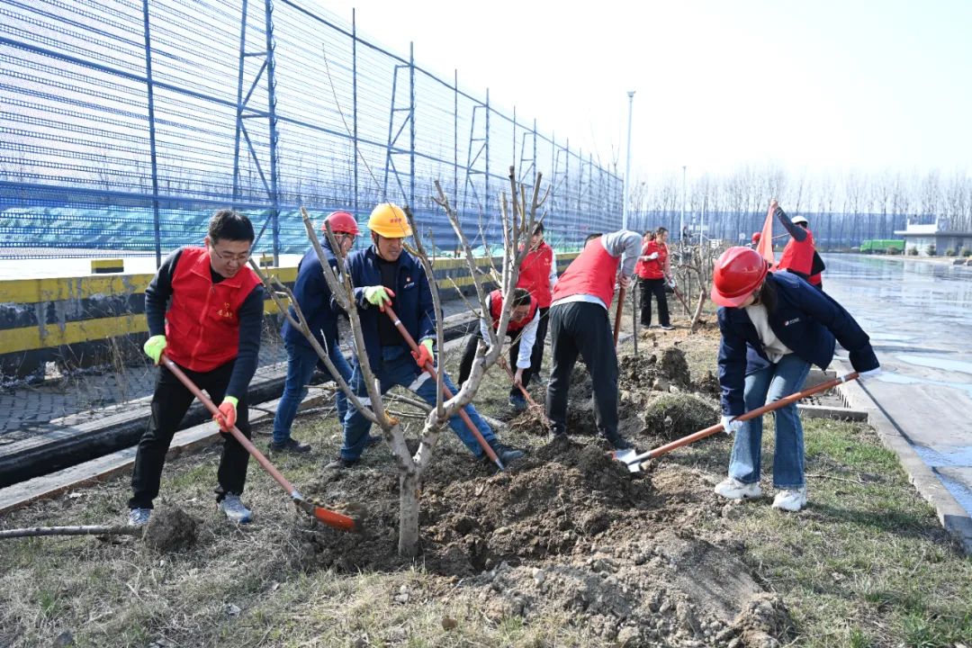 1740894100448348.jpg 0003.jpg