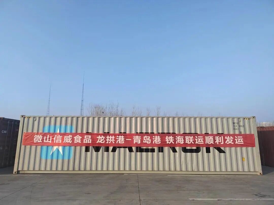 1766546035128699.jpg 04.jpg