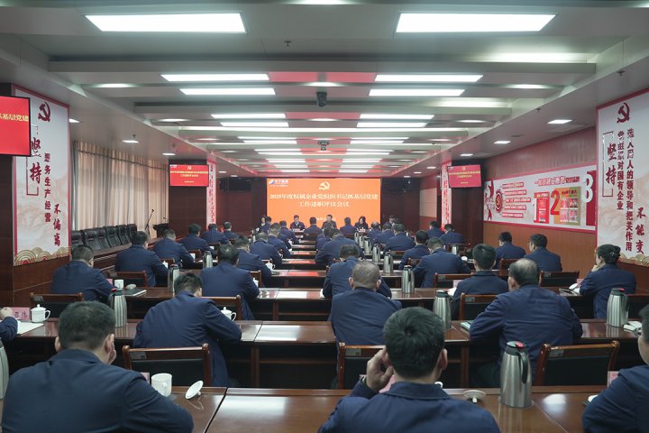 开云官网登录入口 www.kaiyun.com
召开基层党建工作述职评议会议