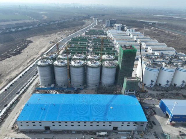 济州港粮食产业园仓储扩建项目10栋浅圆仓封顶